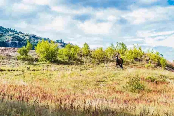 A landscape depicting harsh weather in jeth