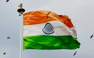 Indian tricolor flag waving on a flagpole with birds flying in the background on a cloudy day.